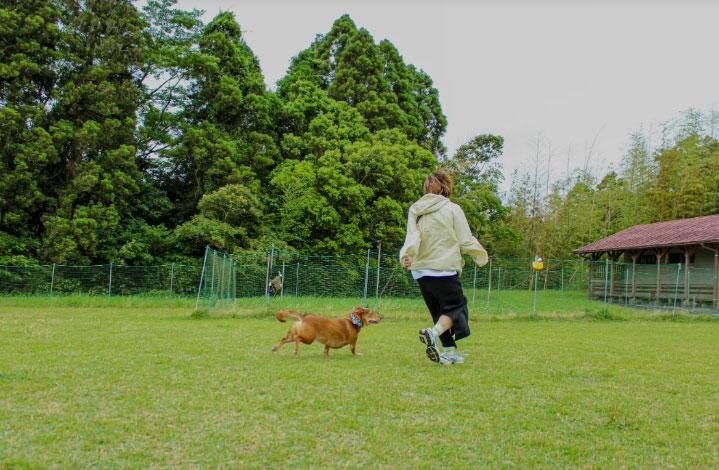 【霧島市】黒石岳森林公園キャンプ場-1