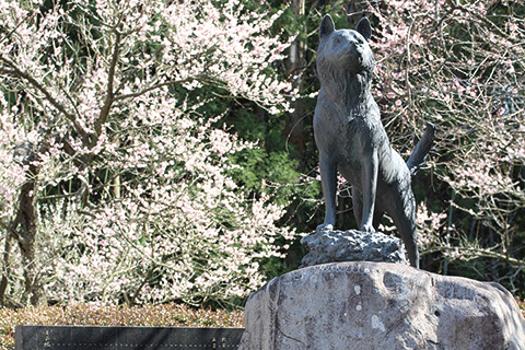7_Statue of Tsun @Shrine of Fujikawa Tenjin-1