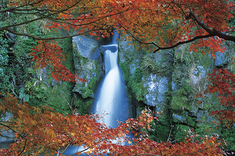 9_Kannon Falls Park-1