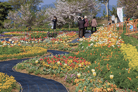 11_Nagashima Flower Festival-1