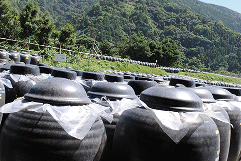 18_Black Vinegar Jars-1