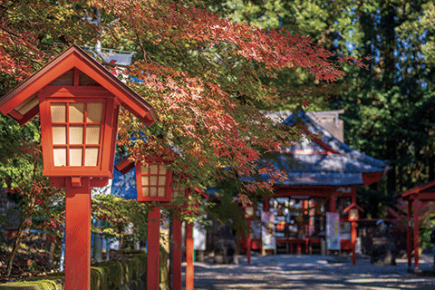 23_Koriyama Hachiman Shrine-1