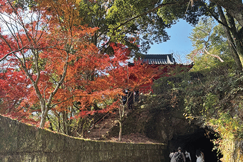 25_Maples@Sogi Falls Park-1