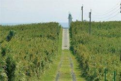 ヤルセ灯台／中之島-1