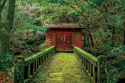 42_Jigenji Park / Jigenji Somen Nagashi-1