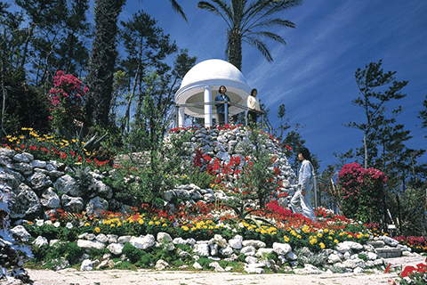 64_Flower Park Kagoshima-1