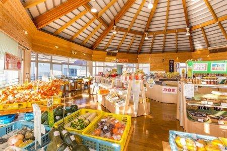  道の駅桜島　火の島めぐみ館 