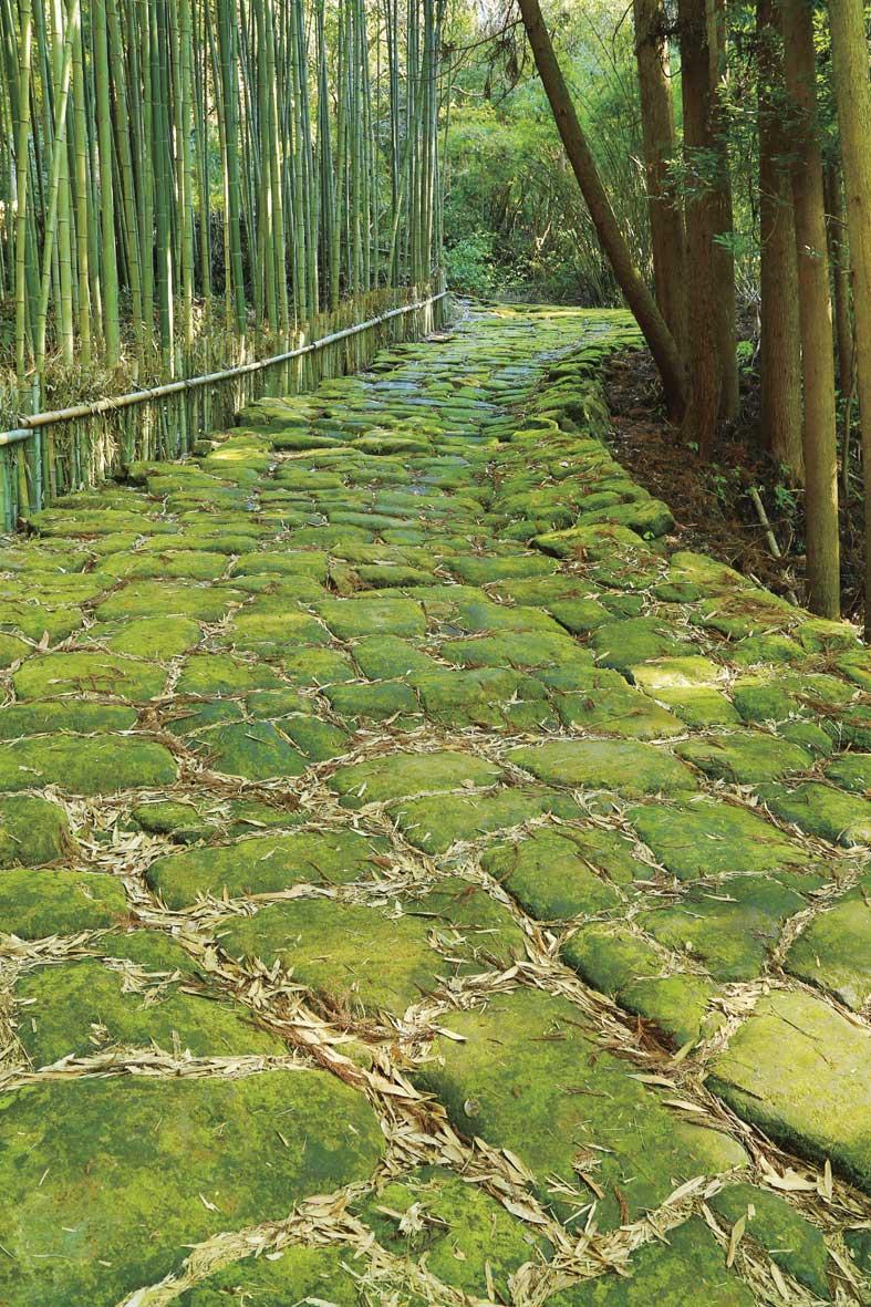 加久藤火砕流の溶結凝灰岩-1