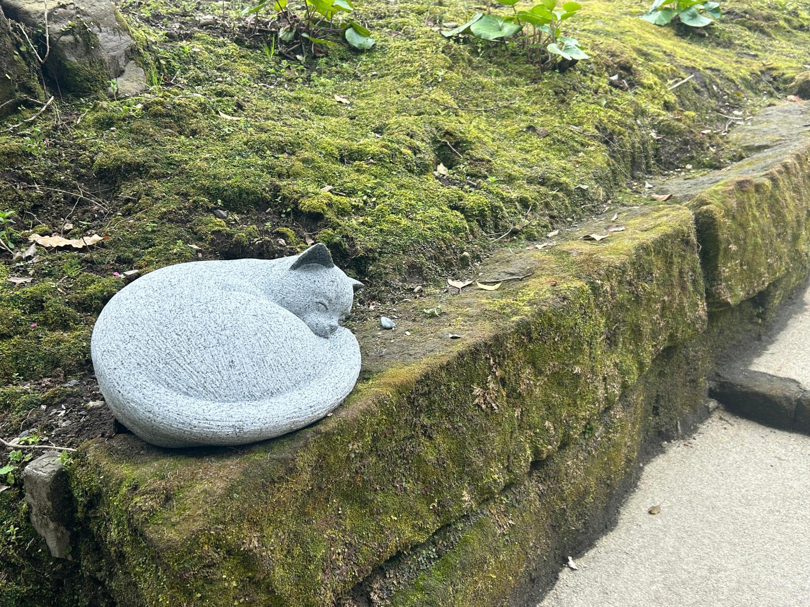 仙巌園　猫神社-1