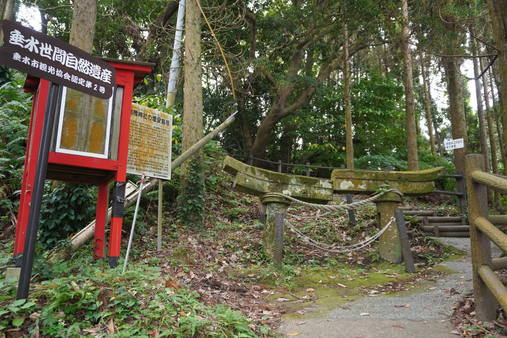 牛根麓稲荷神社 埋没鳥居-1