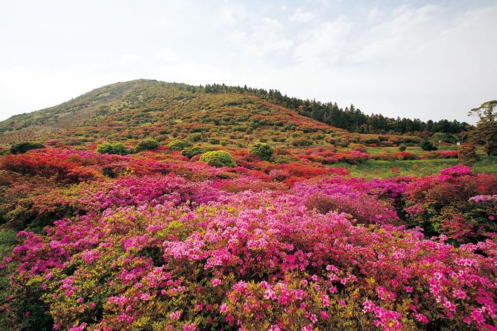 高峠つつじヶ丘公園-1