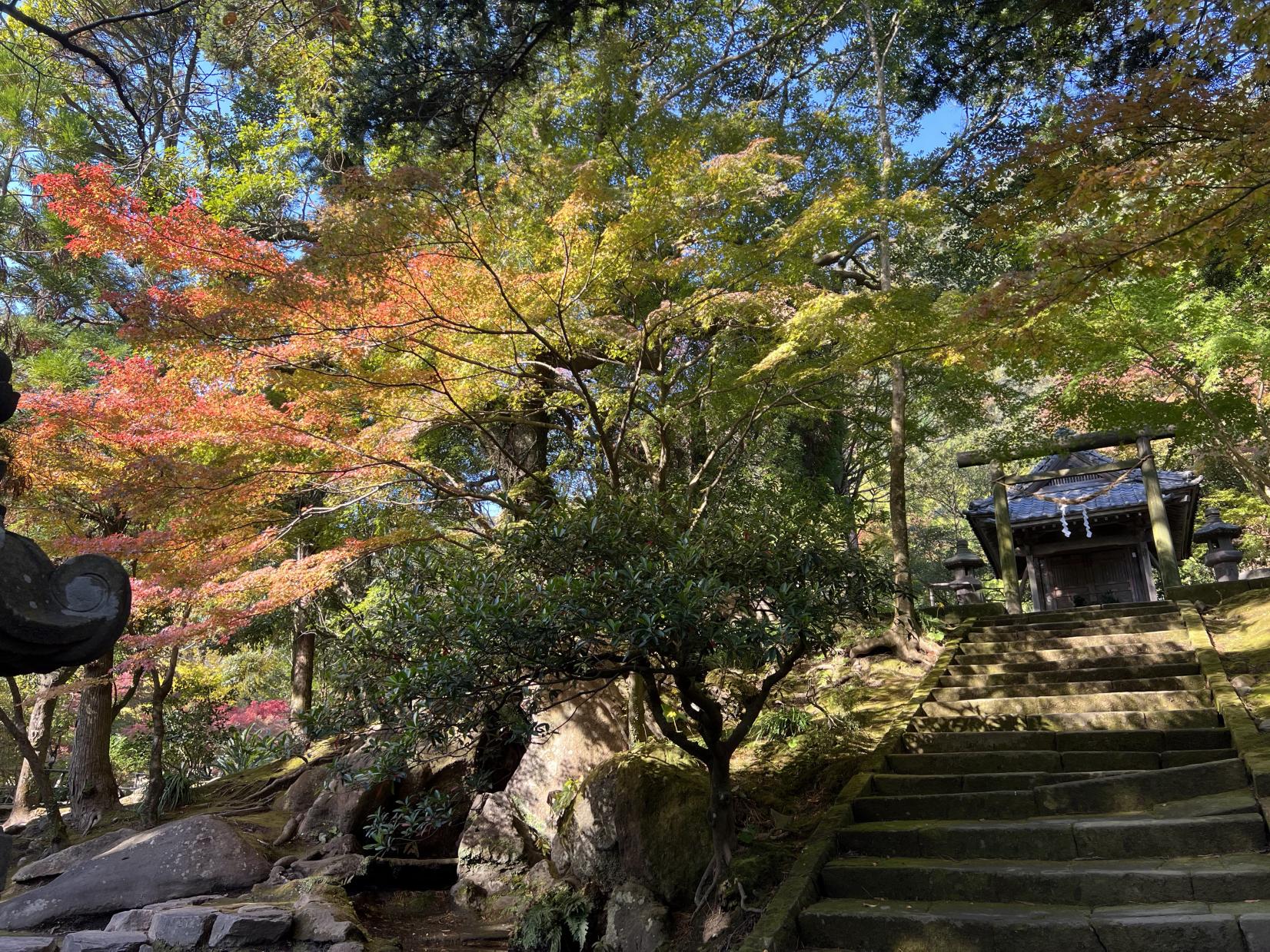 名勝 仙巌園（鹿児島市）-1