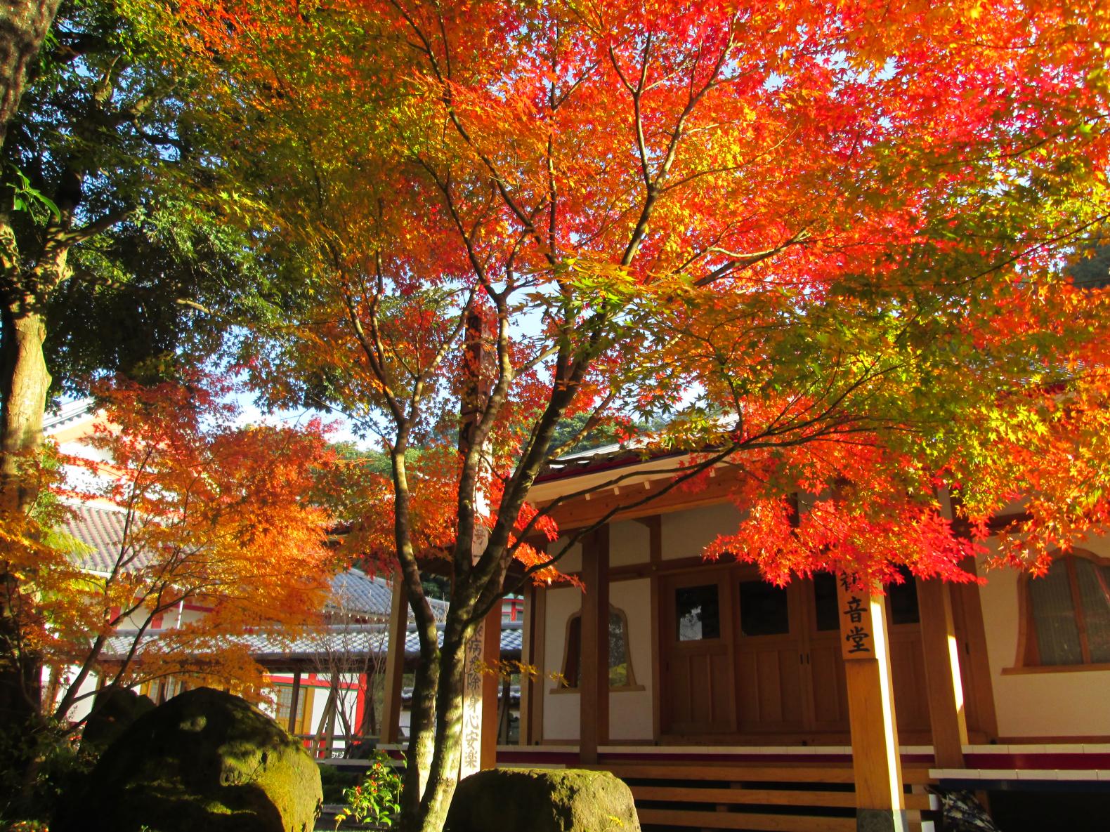 不動山青隆寺（指宿市）-1