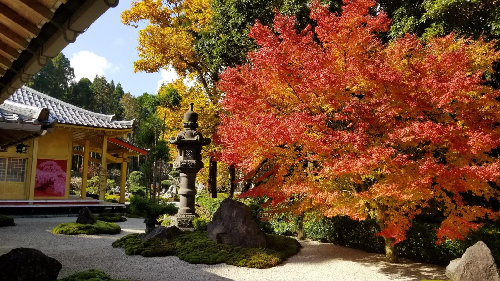 不動山青隆寺（指宿市）-2