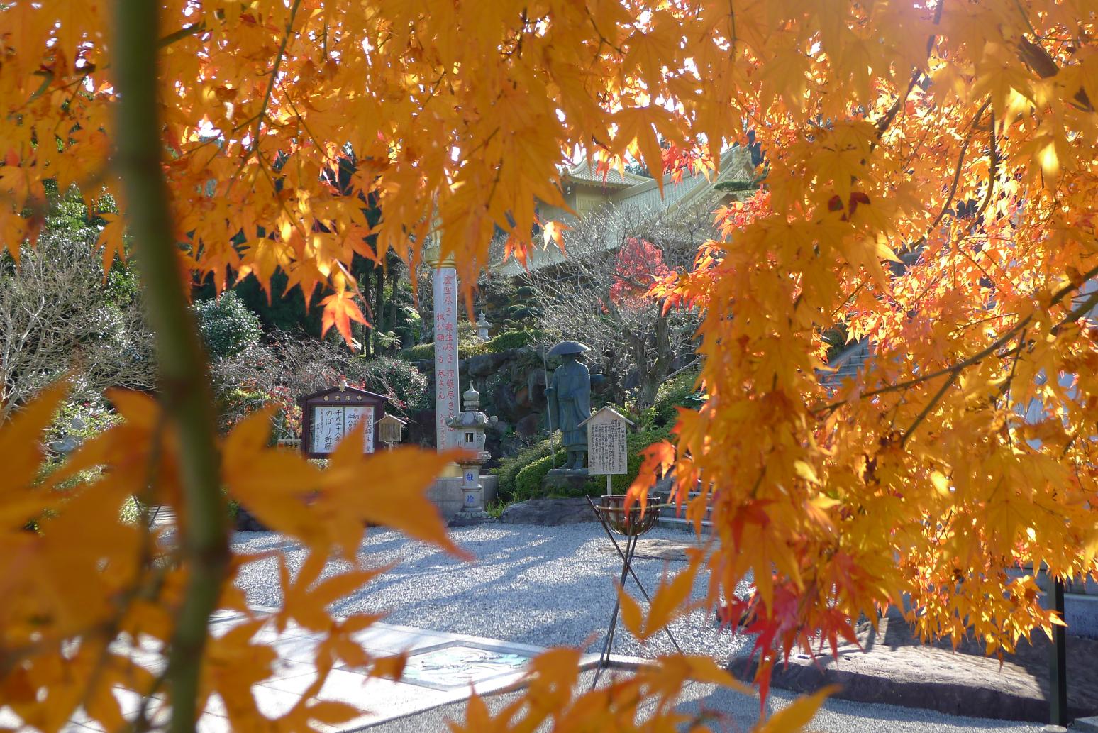 不動山青隆寺（指宿市）-4