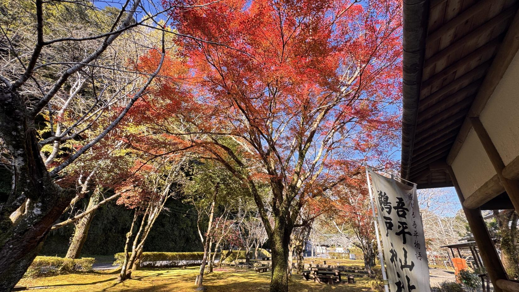 吾平山上陵（鹿屋市）-1