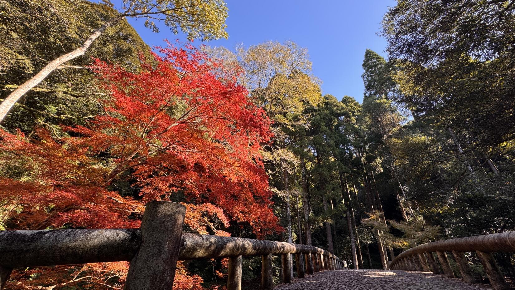 吾平山上陵（鹿屋市）-2