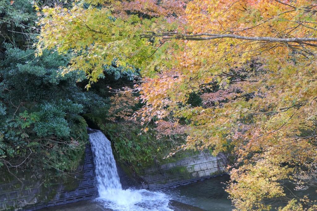 道隆寺跡（肝付町）-1
