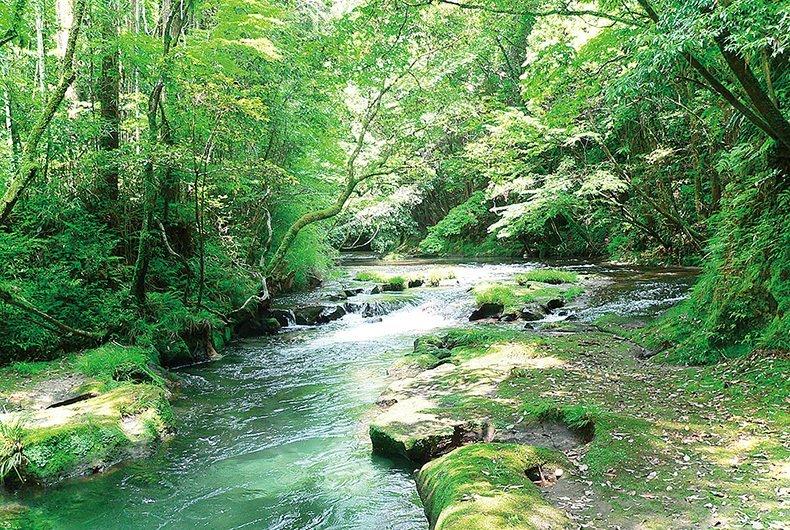 ▼霧島［エコツアー］-0