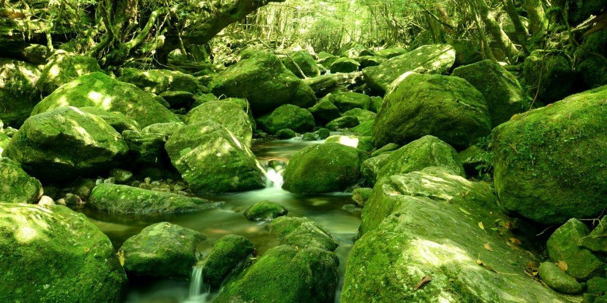 屋久島・口永良部島-0