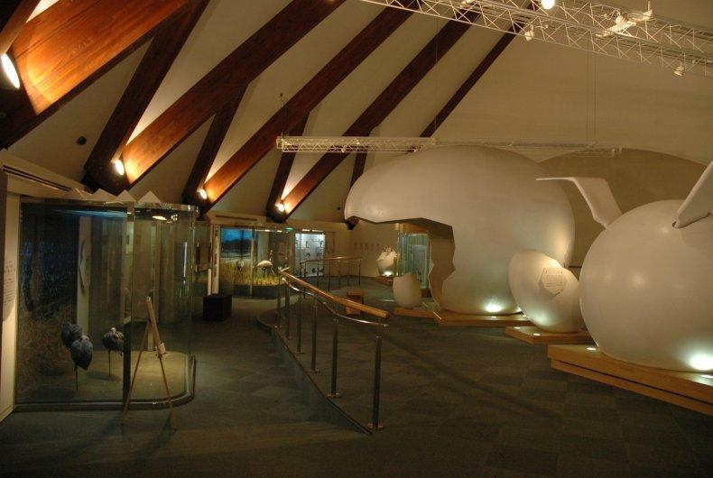 日本で唯一のツルのミュージアム「出水市ツル博物館クレインパークいずみ」-1
