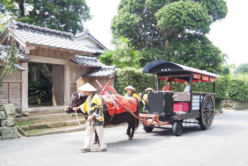 400年前の石垣が残る武家屋敷群を牛車に揺られながらのんびり散策-1