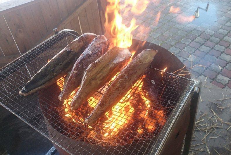 かつおのわら焼き体験-0