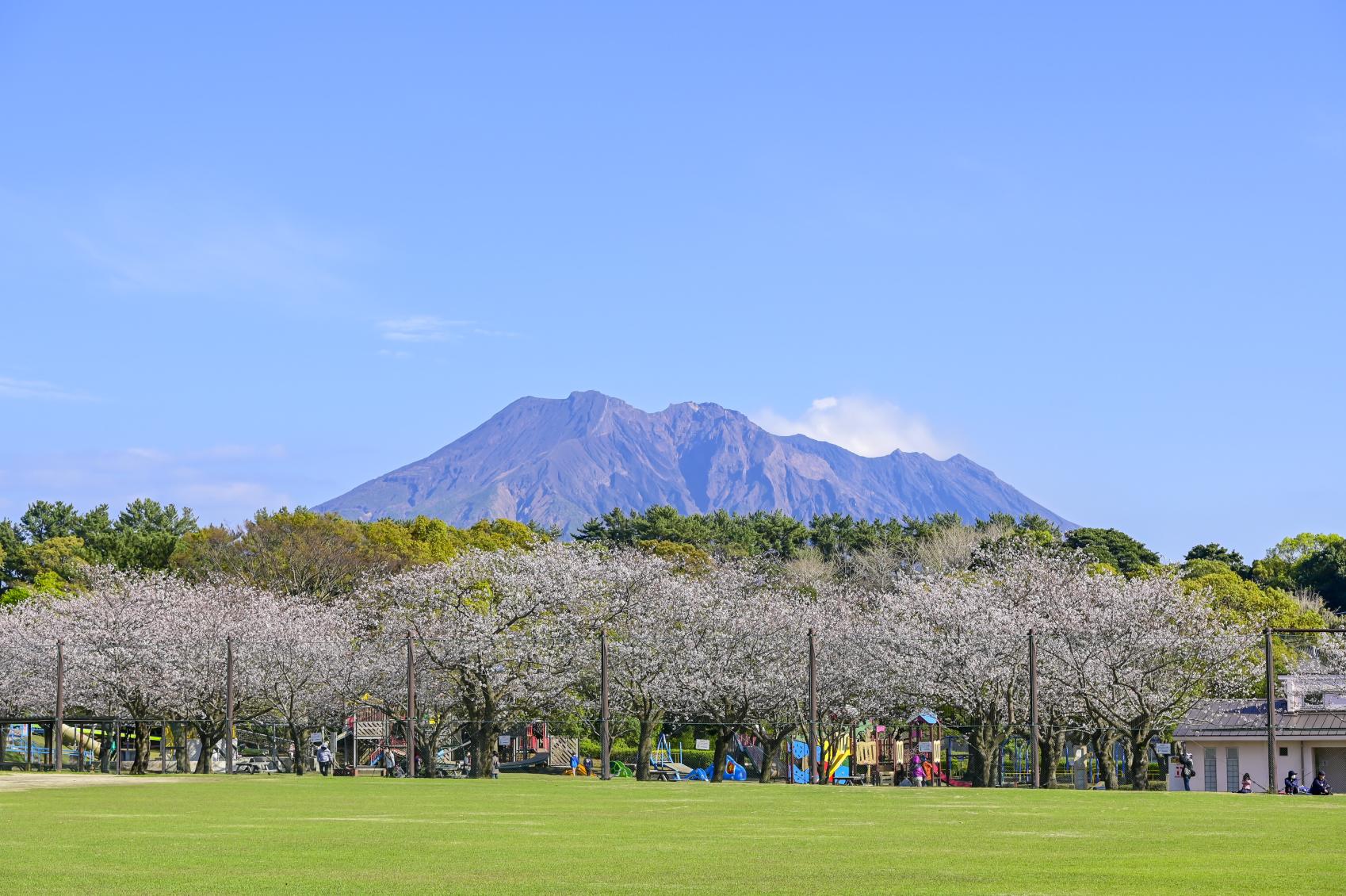 鹿児島県立吉野公園-0