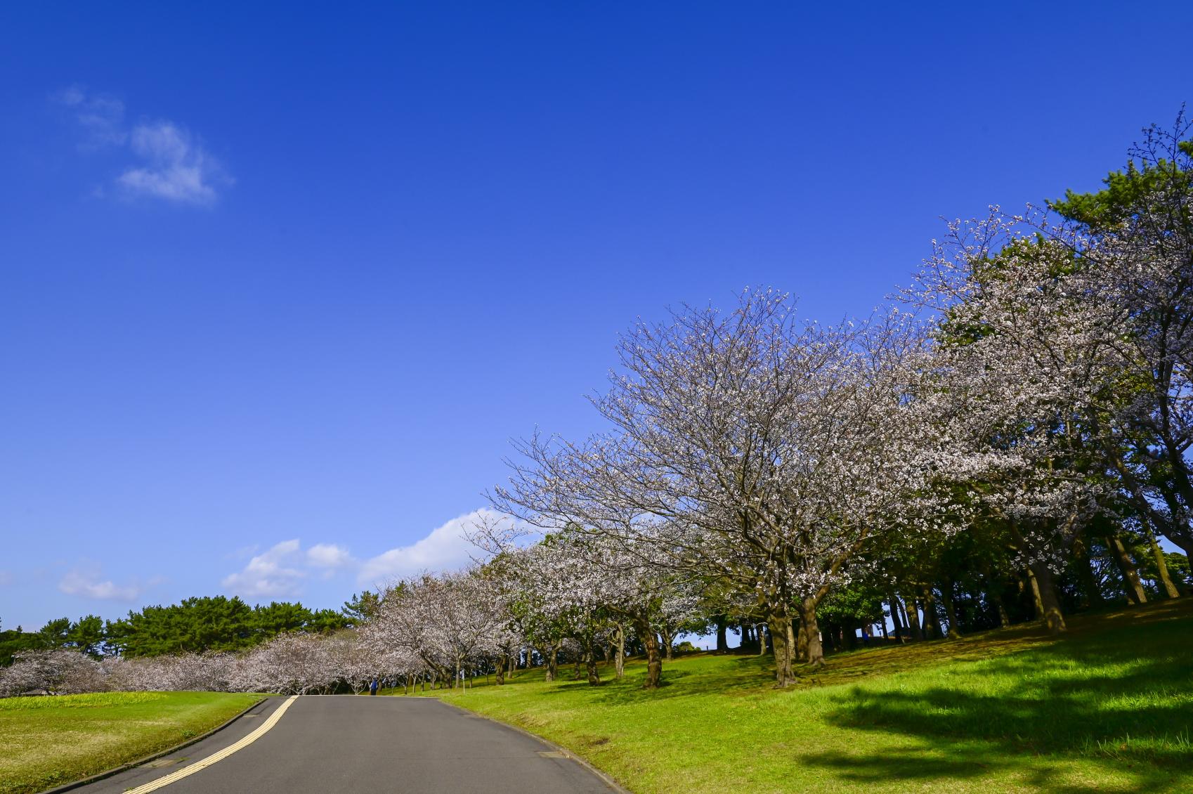 鹿児島県立吉野公園-2