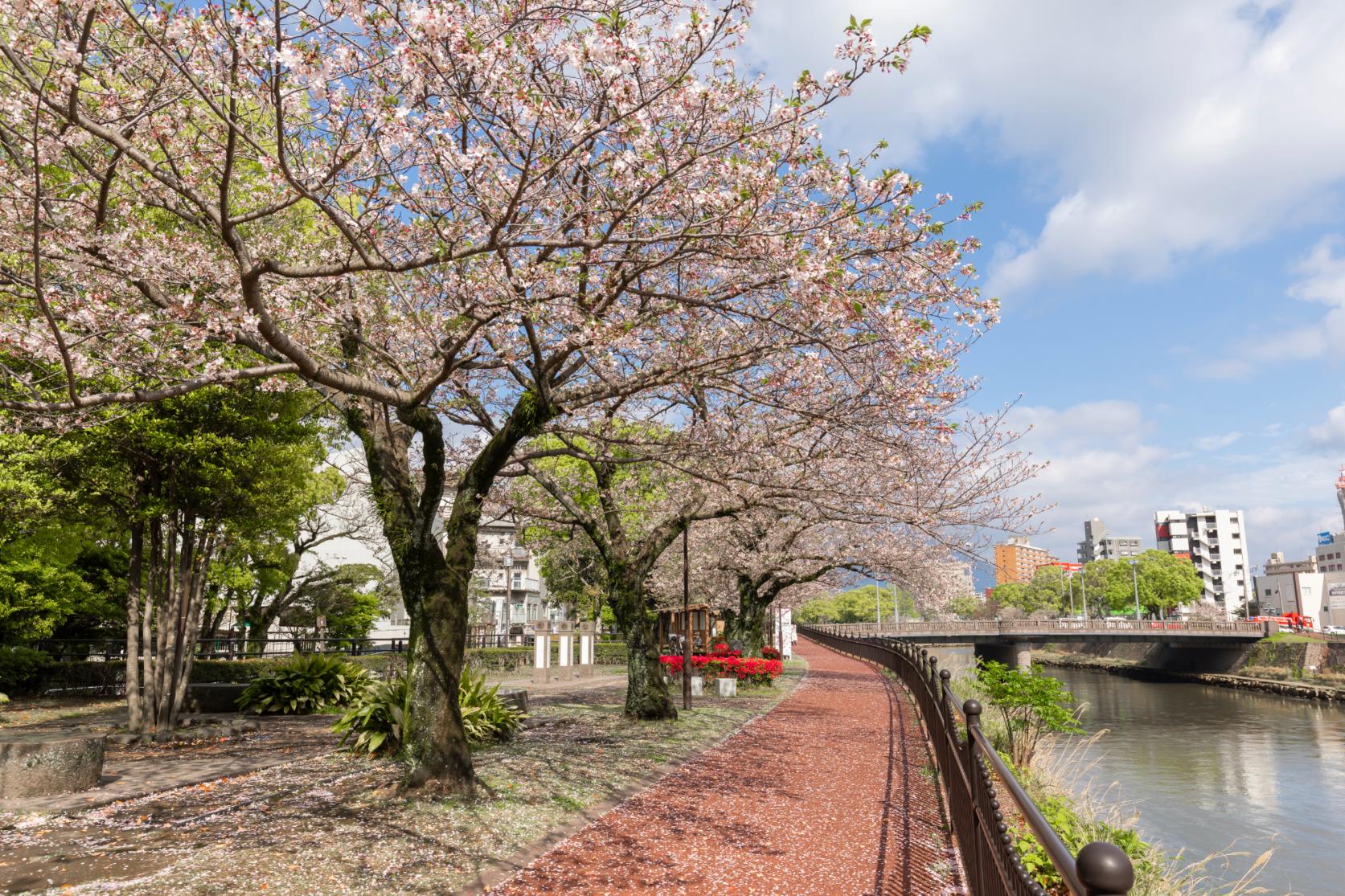 甲突川左岸・右岸緑地-4