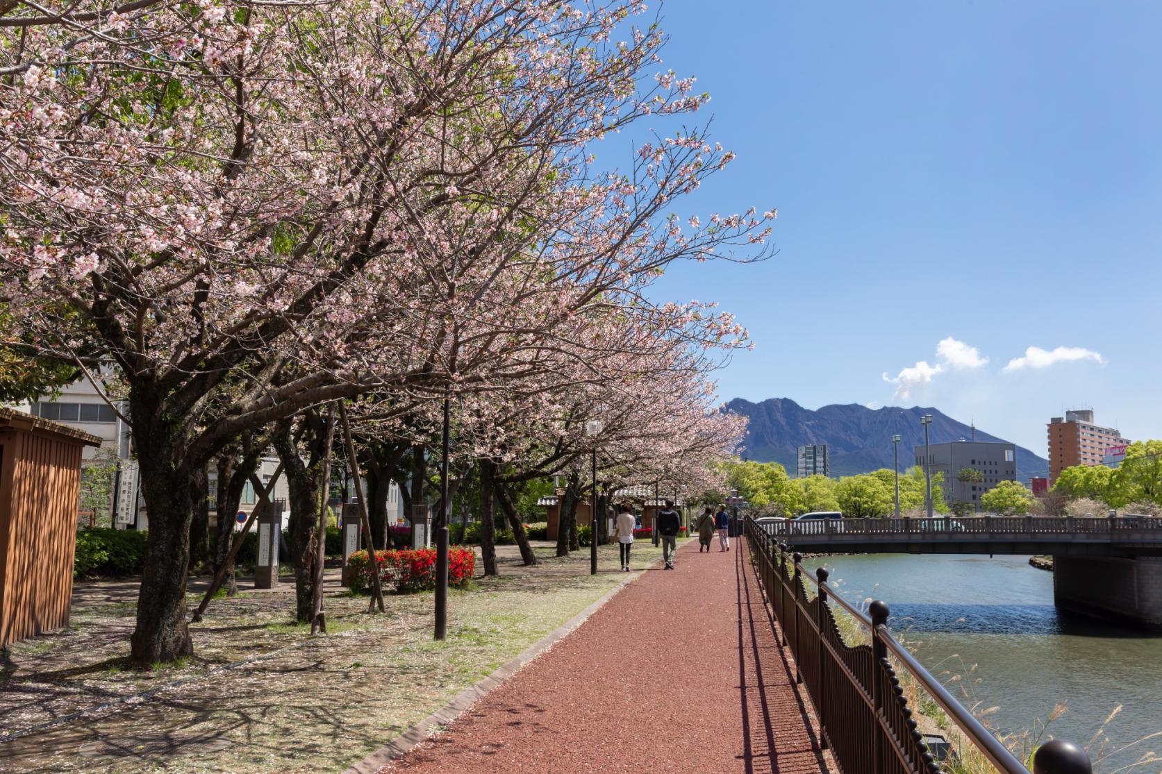 甲突川左岸・右岸緑地-0