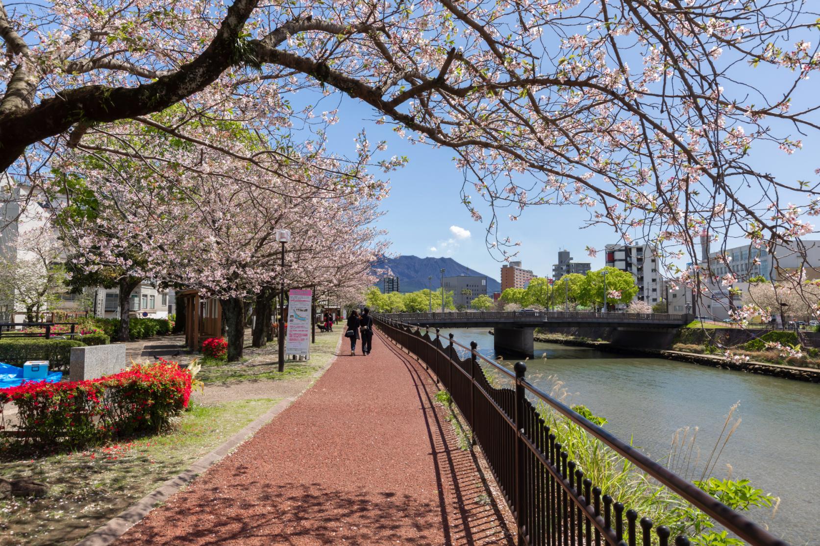 甲突川左岸・右岸緑地-2