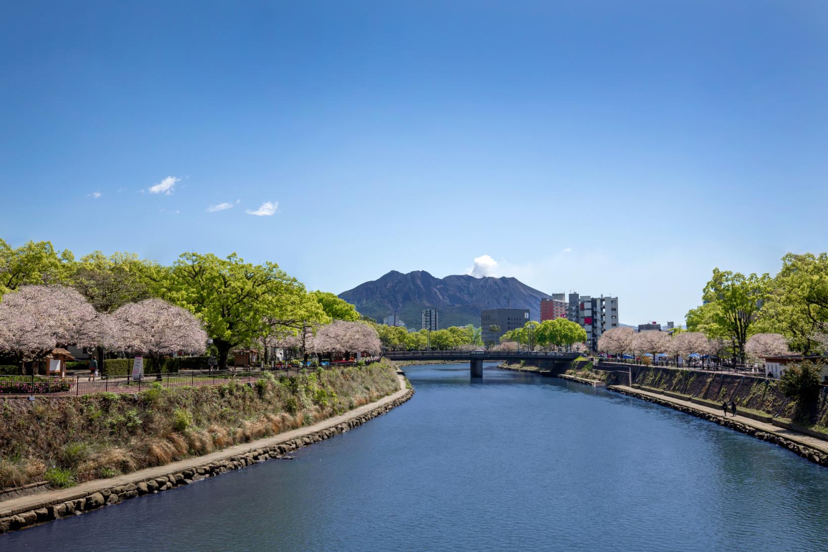 甲突川左岸・右岸緑地-3