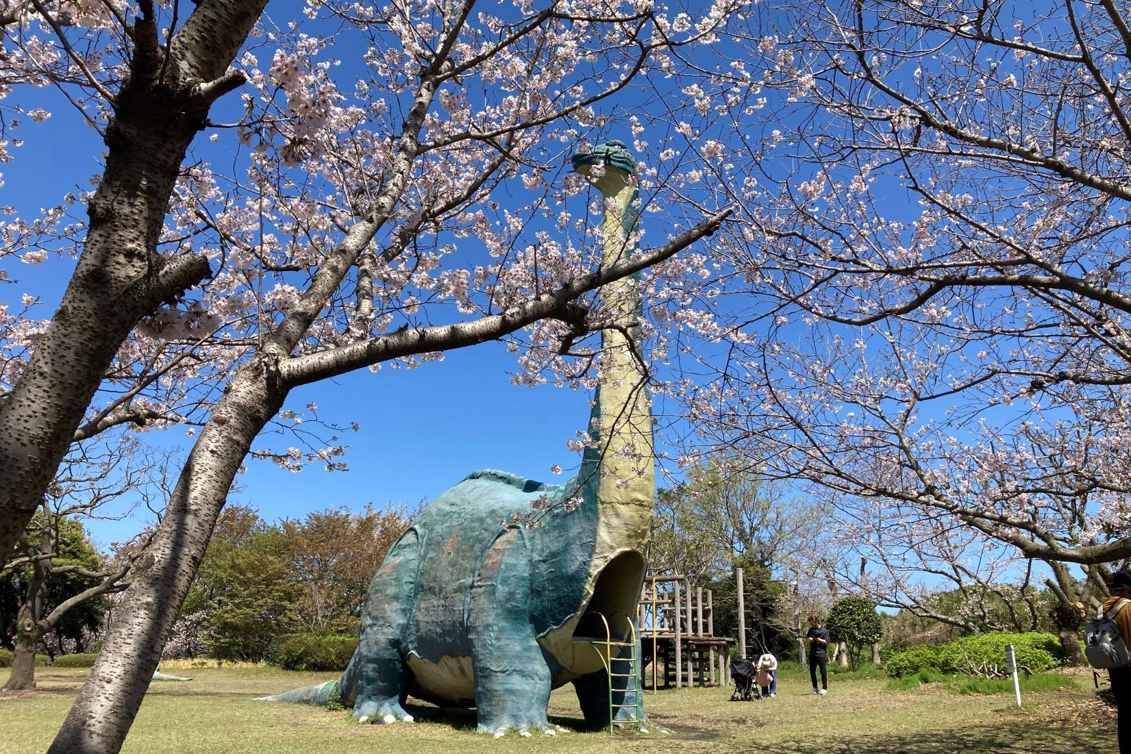 桜島自然恐竜公園-0