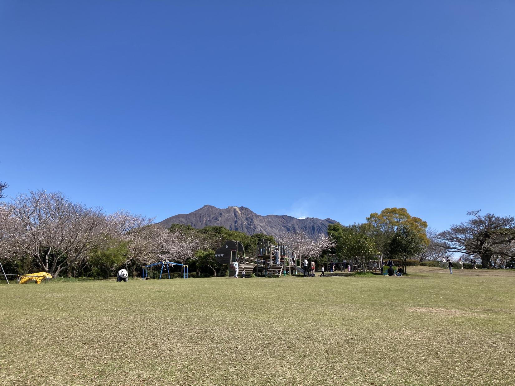 桜島自然恐竜公園-3