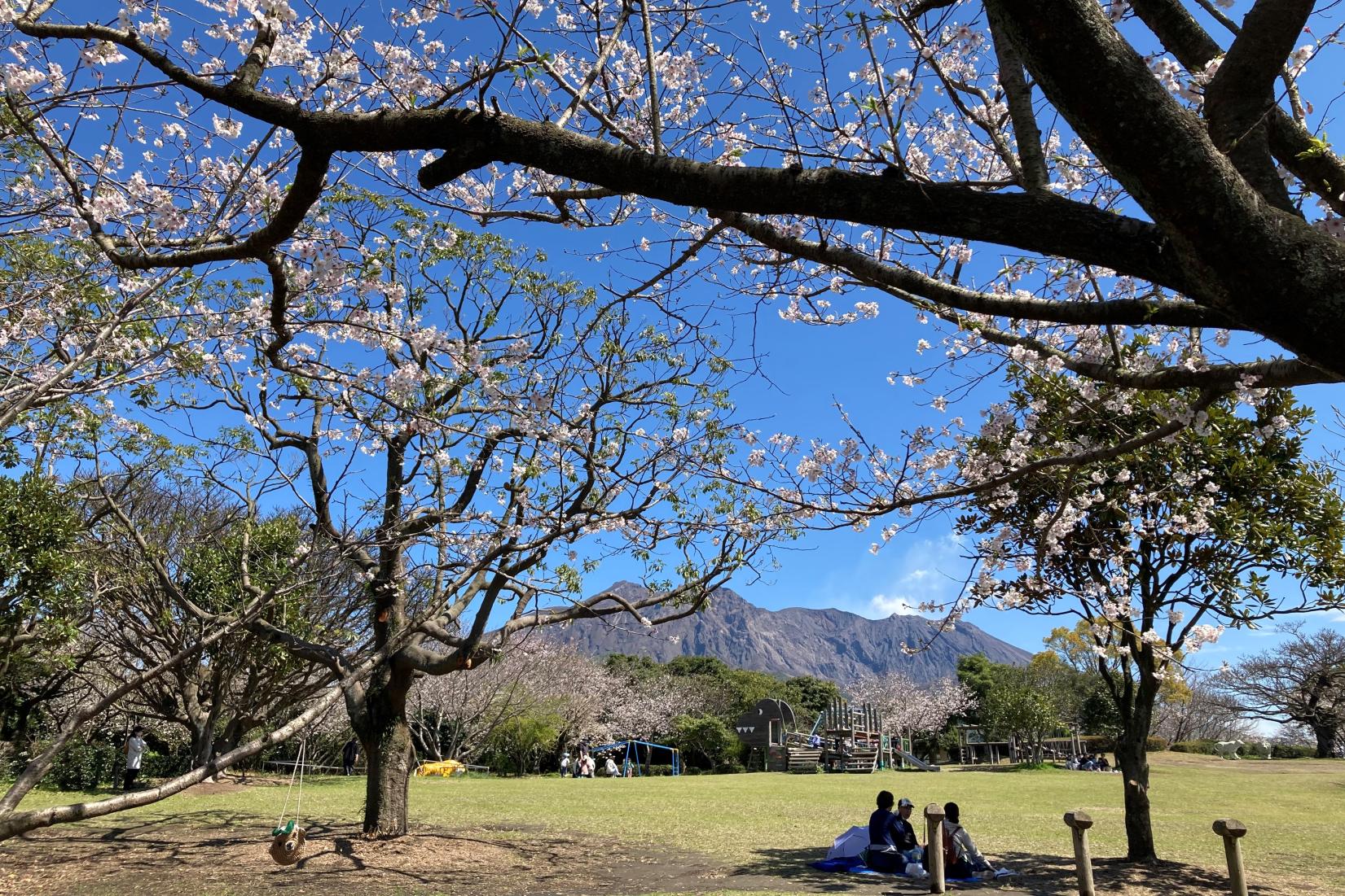 桜島自然恐竜公園-1