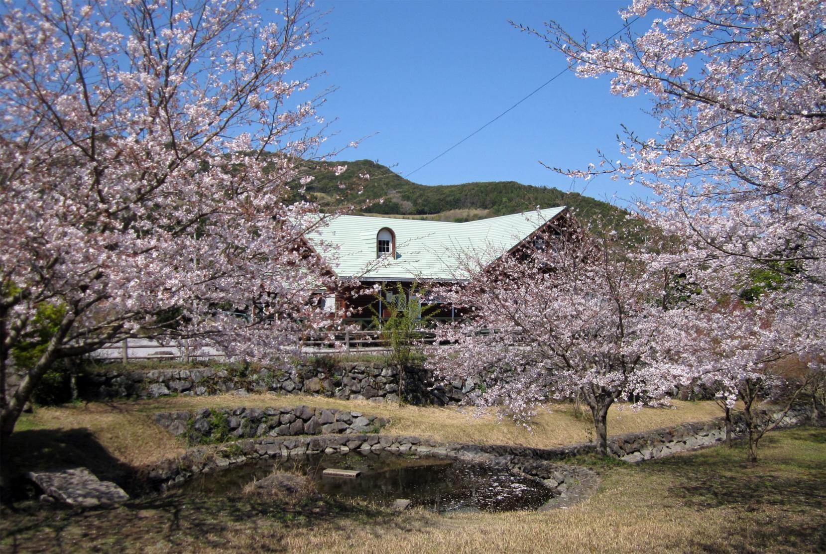 グリーンファーム（鹿児島市観光農業公園）-0