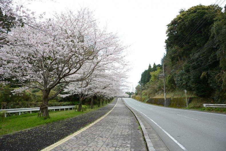 県道徳重横井鹿児島線（206号）-0