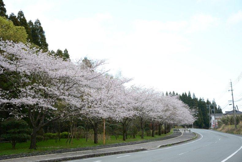 県道徳重横井鹿児島線（206号）-1