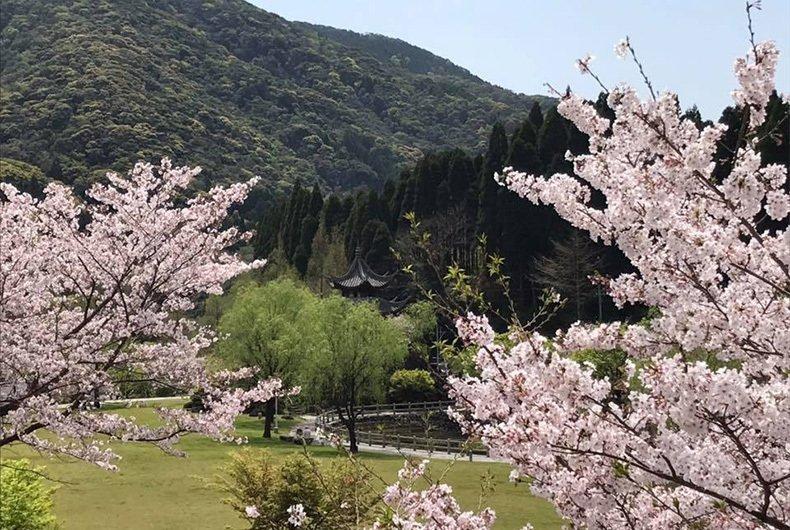 冠岳花川砂防公園-1