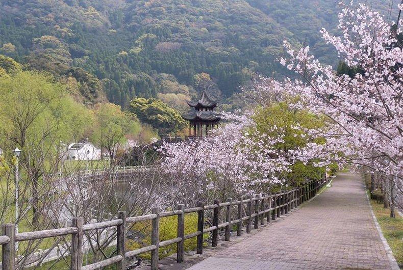 冠岳花川砂防公園-0