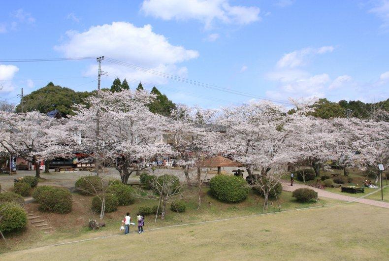 曽木の滝公園-1