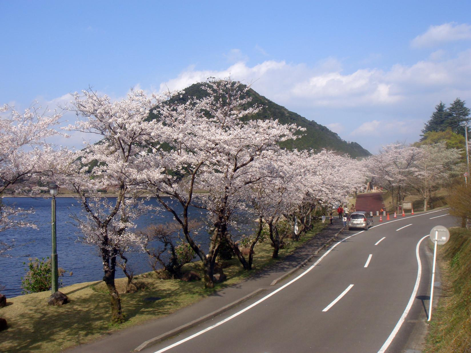 藺牟田池（いむたいけ）自然公園-0