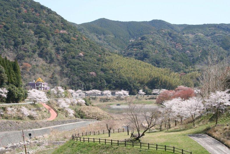 薩摩川内市清浦ダム-0