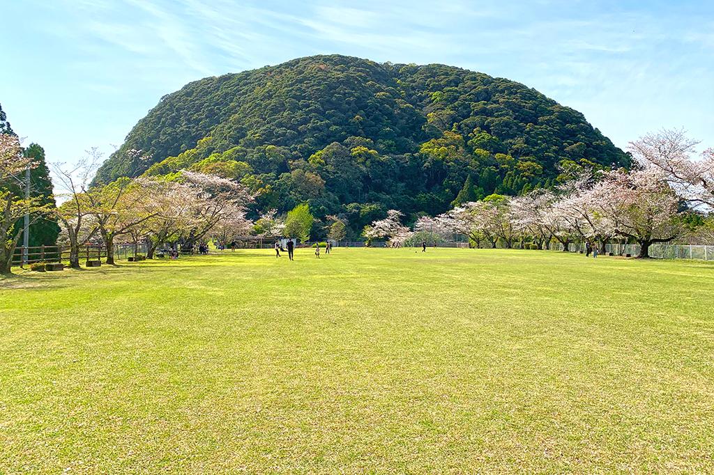 いこいの森 丸山公園-3