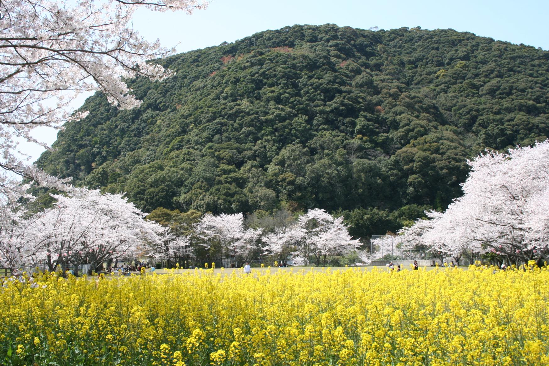 いこいの森 丸山公園-0