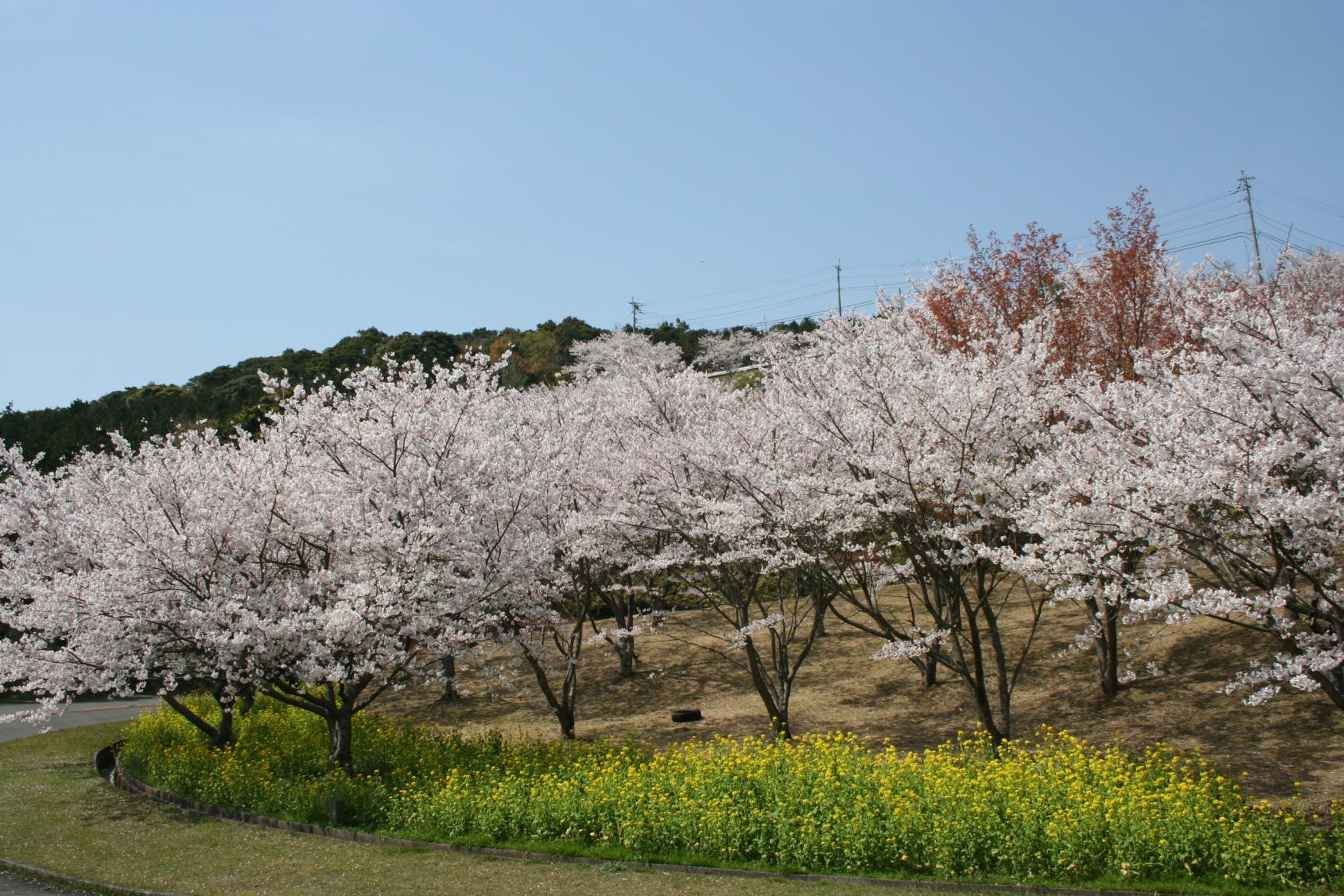 寺山いこいの広場-0