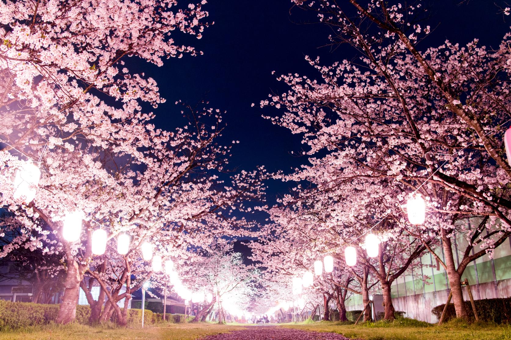 新田神社と可愛山陵-1