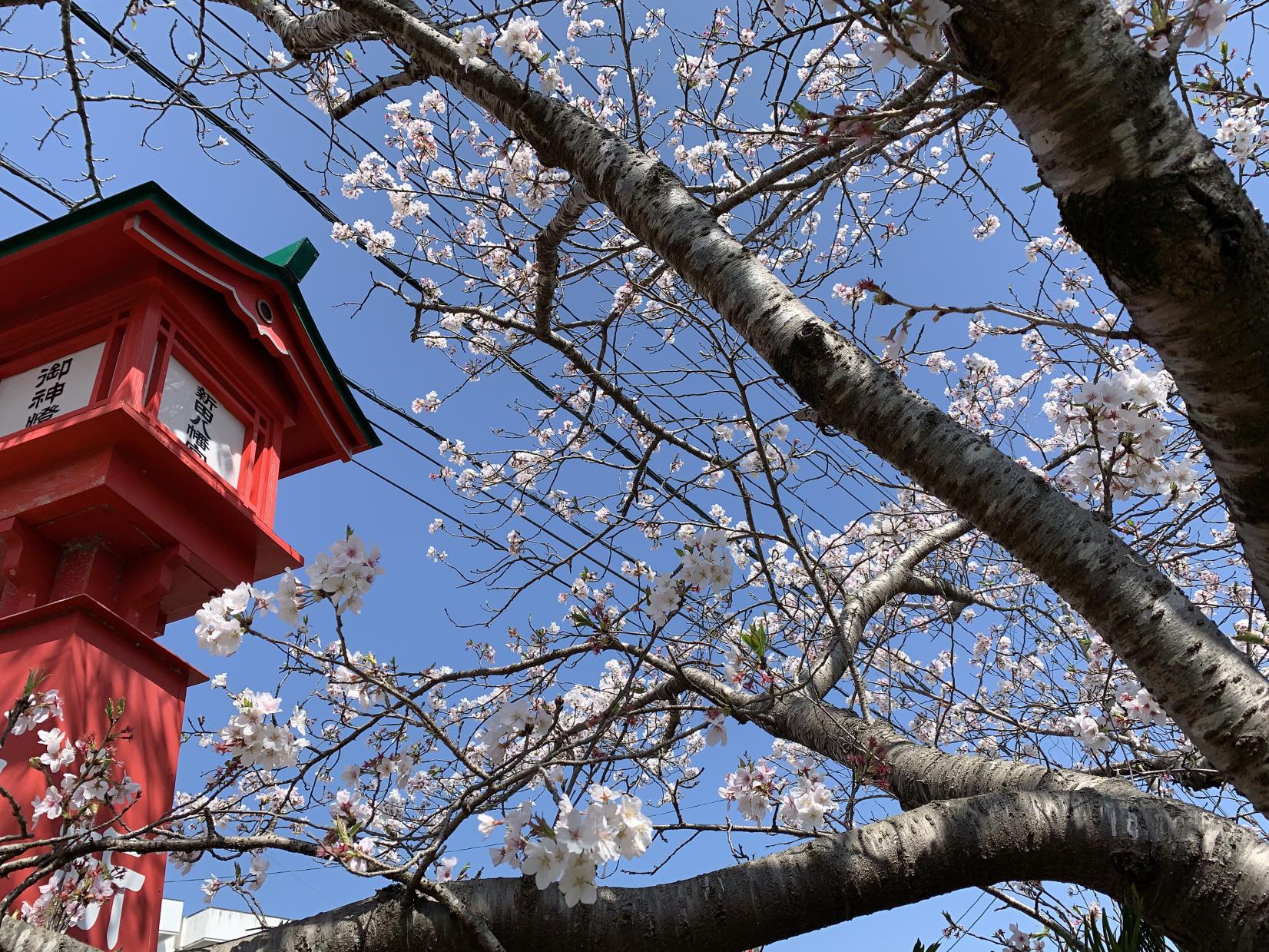 新田神社と可愛山陵-1