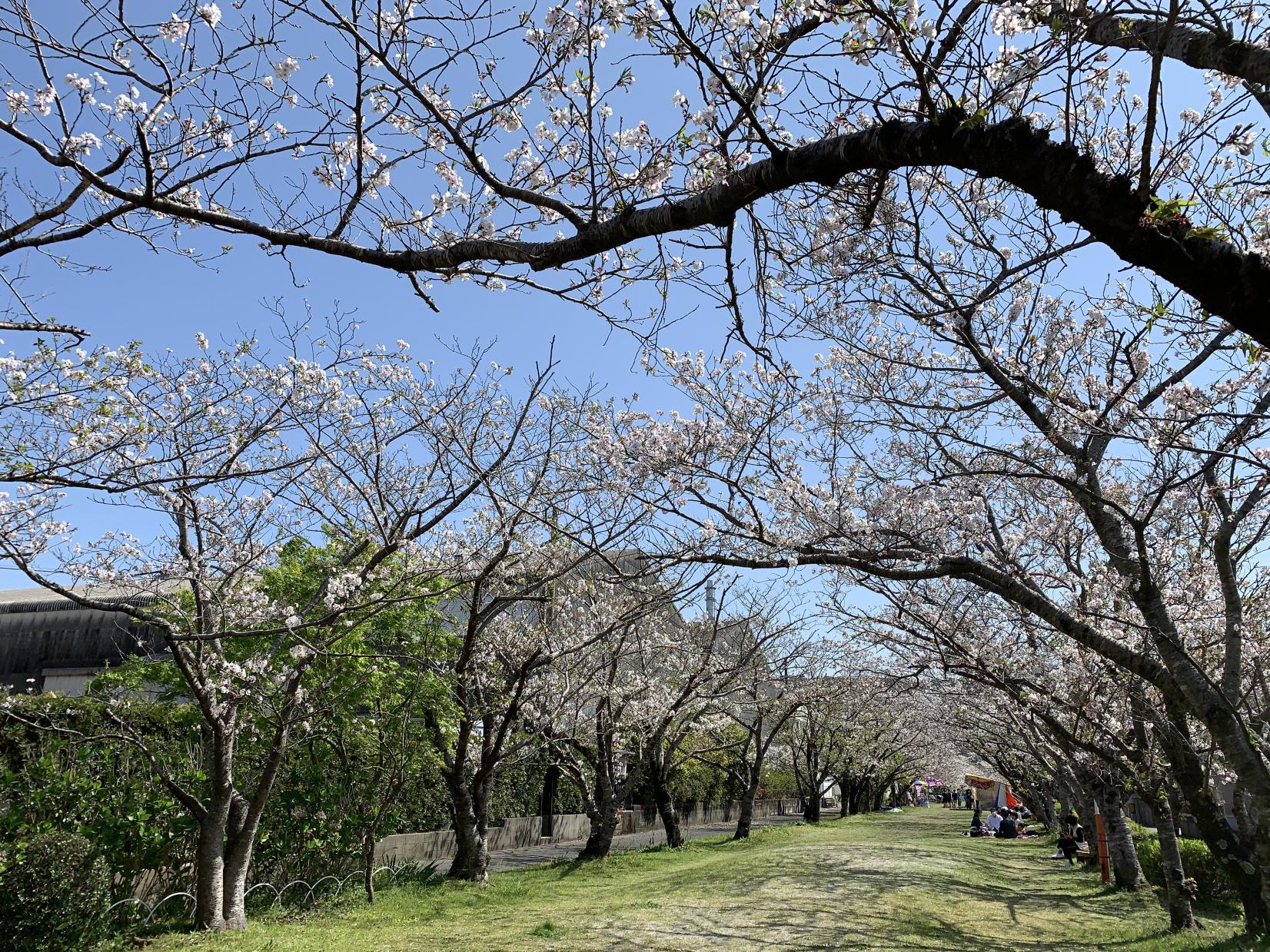 新田神社と可愛山陵-2